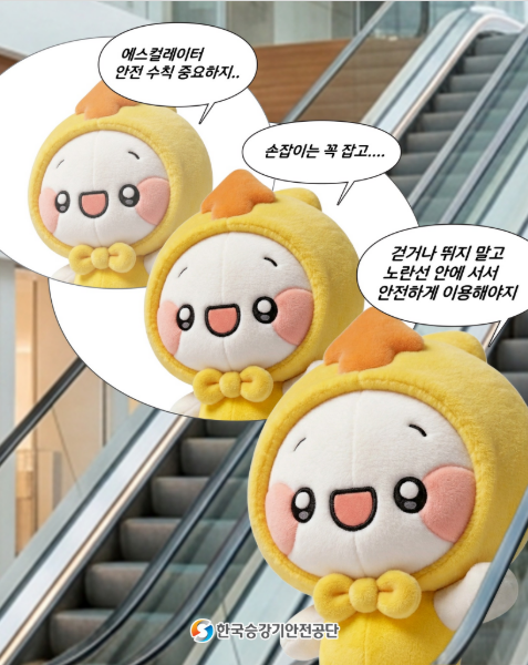 후회하기 전에! 에스처럼 안전수칙 먼저 지키기